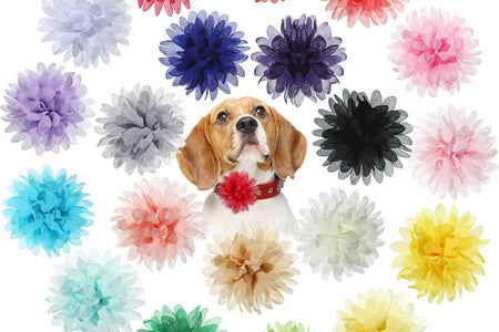20 Pieces Dog Collar Flowers Pet Flower Bow Ties Multi-Color Dog Charms Flower for Puppy Dog Collar Grooming Accessories (12 Cm/ 4.7 Inch)